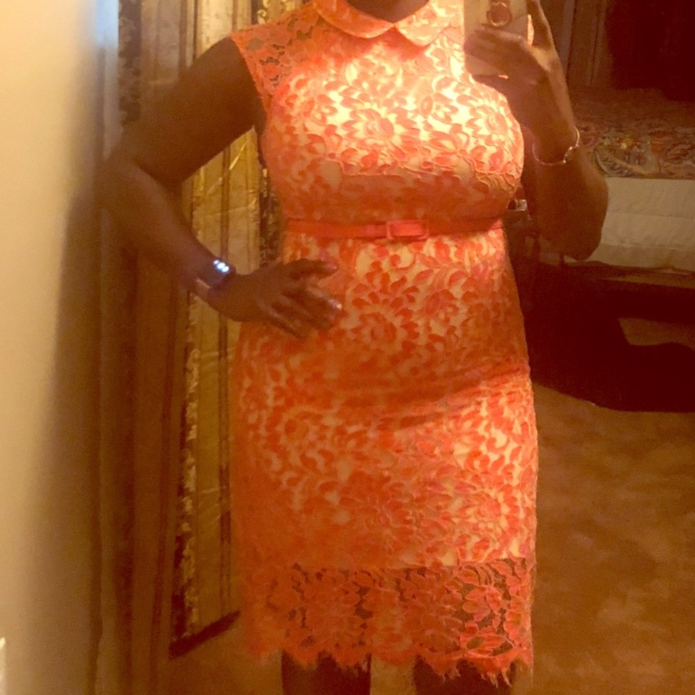 Coral lace sheath dress